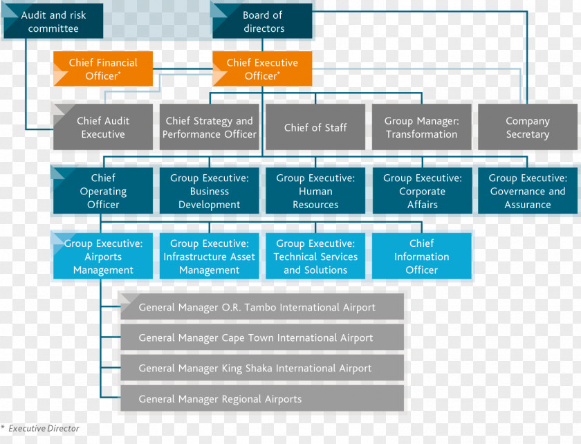 Business Organization Airports Company South Africa PricewaterhouseCoopers PNG