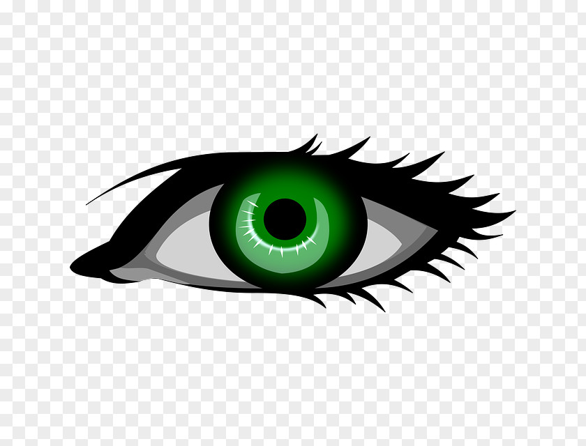 Eye Color Green Clip Art PNG