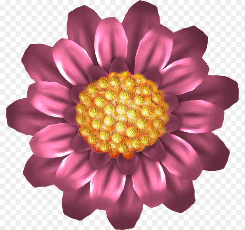 Flower Drawing Red Cartoon PNG