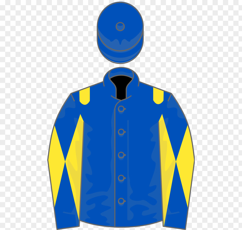 Horse 2018 Grand National 1991 1996 Aintree Racecourse PNG
