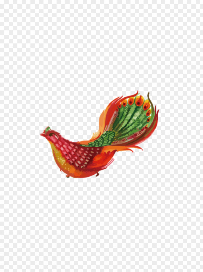 National Wind Peacock Adobe Illustrator Download PNG