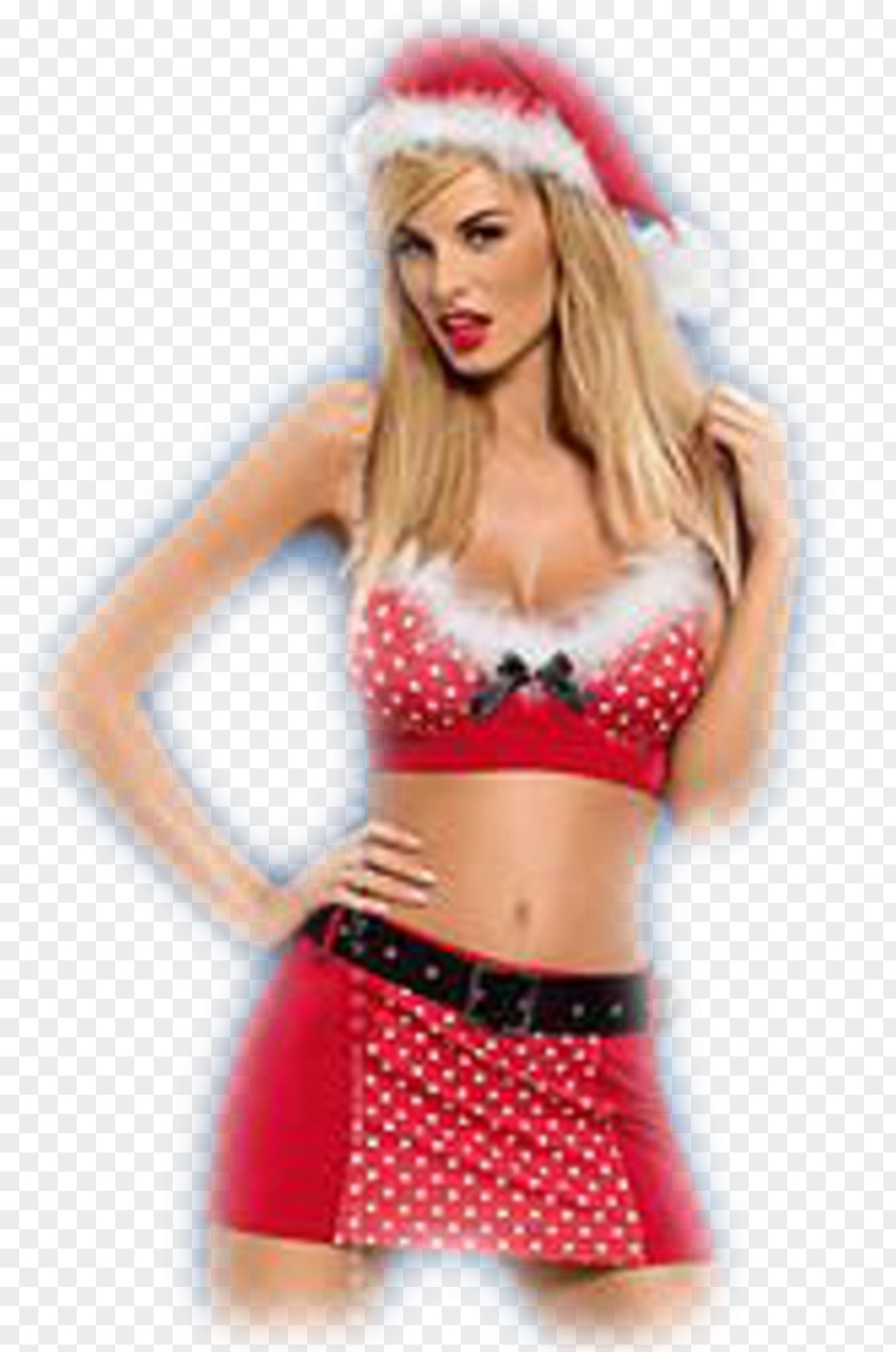 Santa Claus Mrs. Suit Costume Skirt PNG