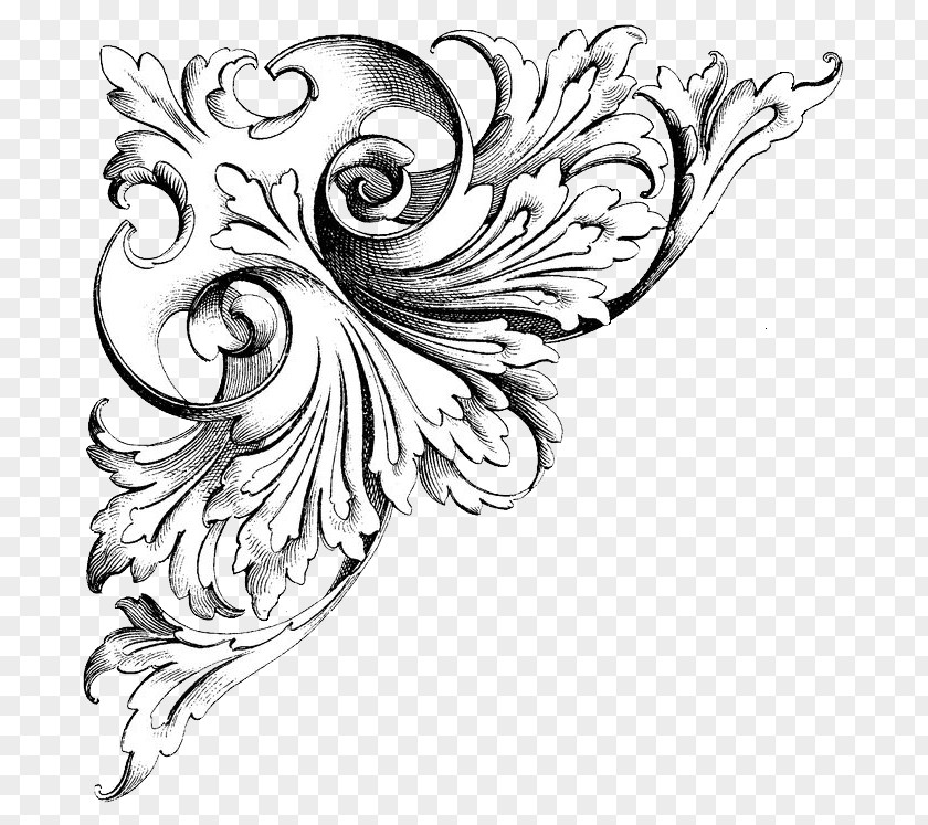 Design Ornament Drawing Art Image Illustration PNG