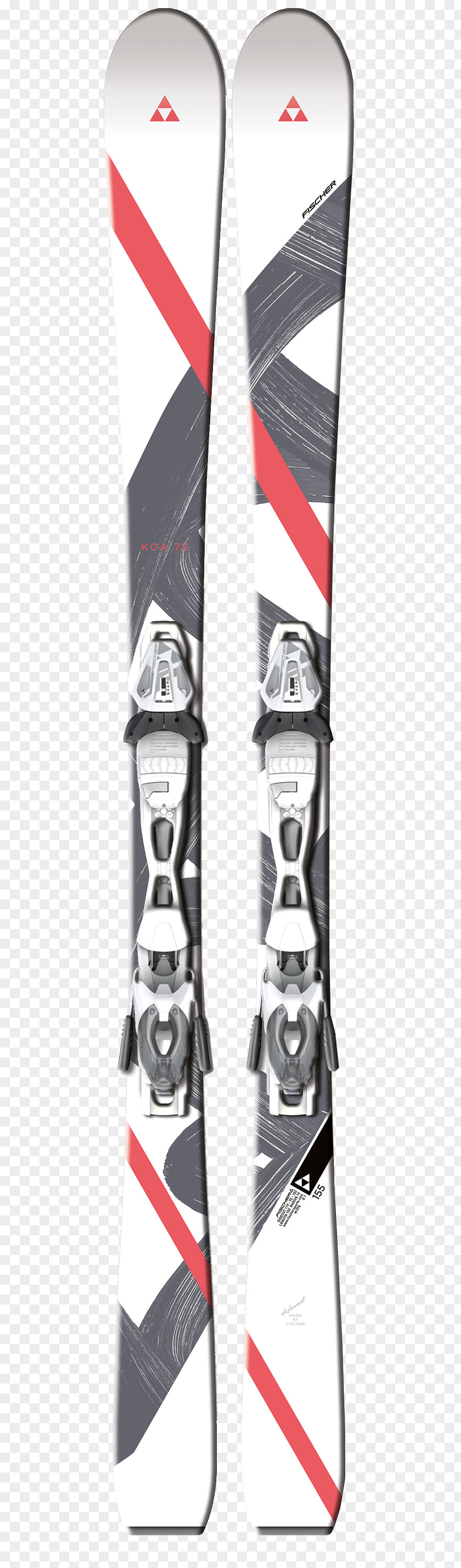 Fischer RC4 Worldcup SC (2017/2018) Ski The Curv DTX Gafas De Esquí PNG