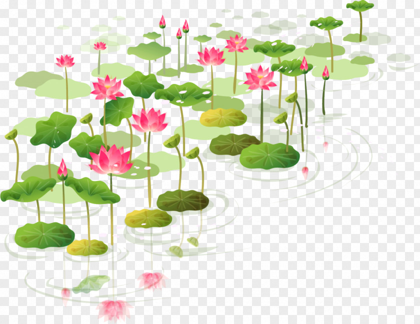 Water Lilies Sacred Lotus Clip Art Sticker Flower PNG