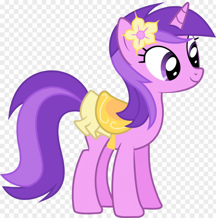 Amethyst Pony Rarity Pinkie Pie Derpy Hooves Twilight Sparkle PNG