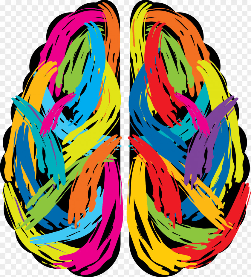 Brain Human Vector Graphics Illustration Painting PNG