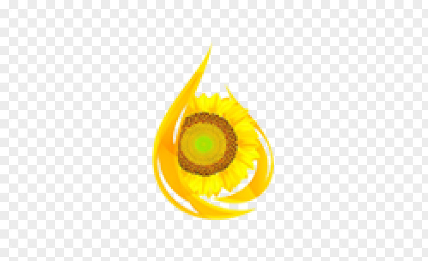 Symbol Logo Sunflower Cartoon PNG