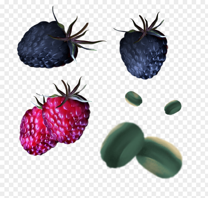 Bromeliaceae Blackberry Pineapple Cartoon PNG