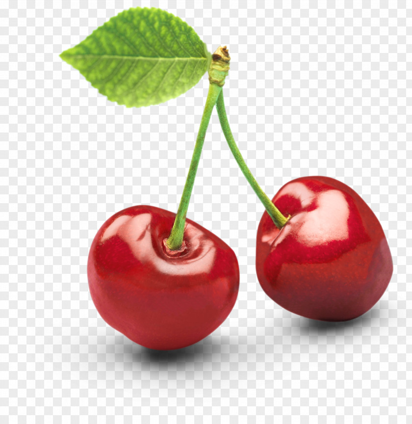 Cherry Vector Clip Art Image Object Photograph PNG