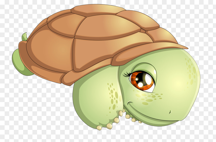 Cute Turtle Green Sea The Tortoise And Hare Illustration PNG