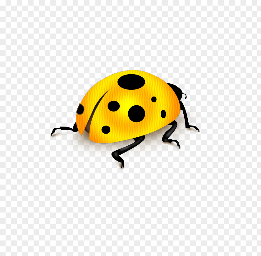 Ladybug Download Computer File PNG