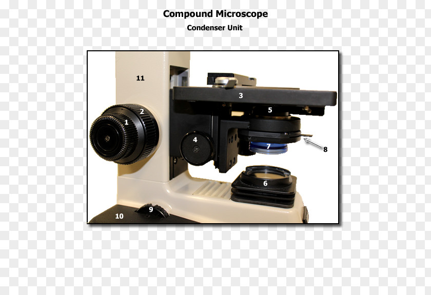 Microscope Angle PNG