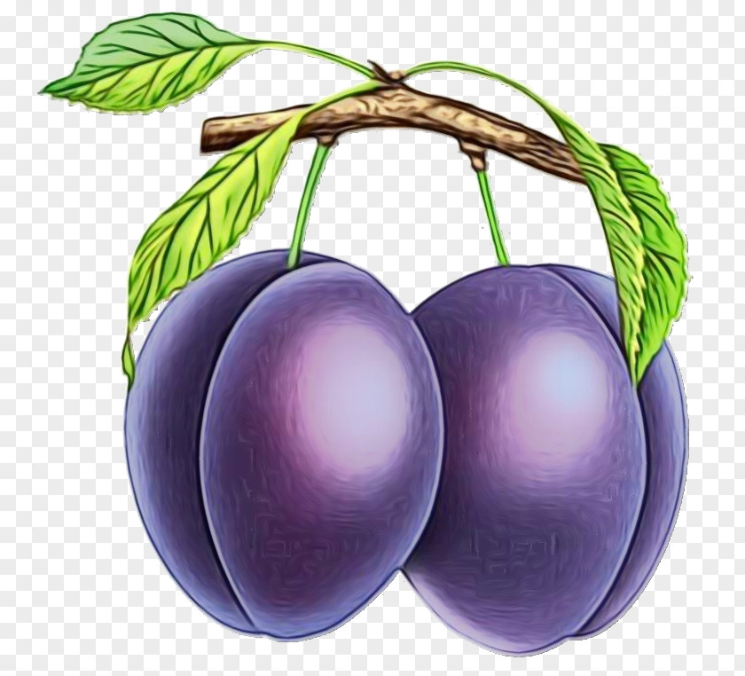 Prune Cherry European Plum Violet Fruit Purple Plant PNG