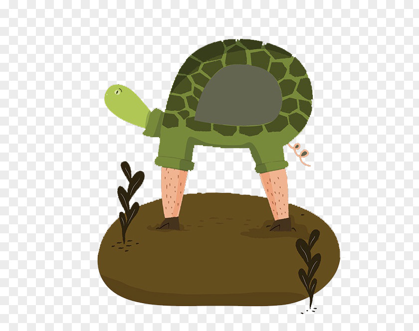 Turtle Reptile Leg Walking PNG Walking, Long legs of the turtle clipart PNG