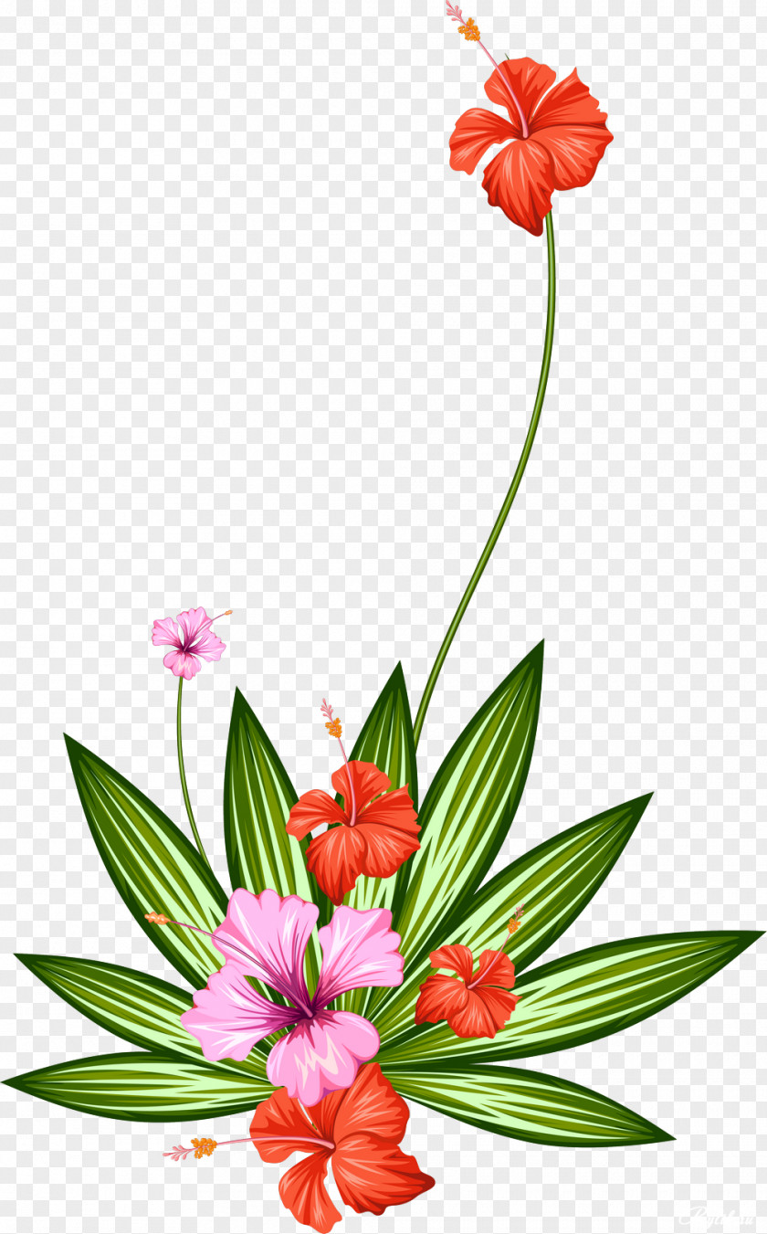 Water Color Flowers Cut Plant Tropics PNG