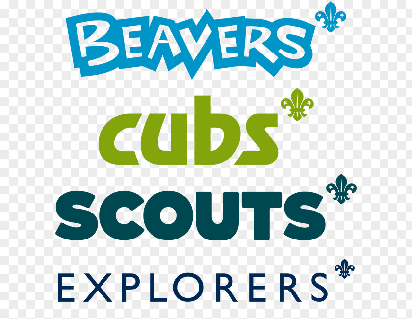 Beaver Beavers Scouts Scout Group The Association PNG