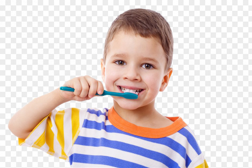 Child Tooth Brushing Human Pediatric Dentistry PNG