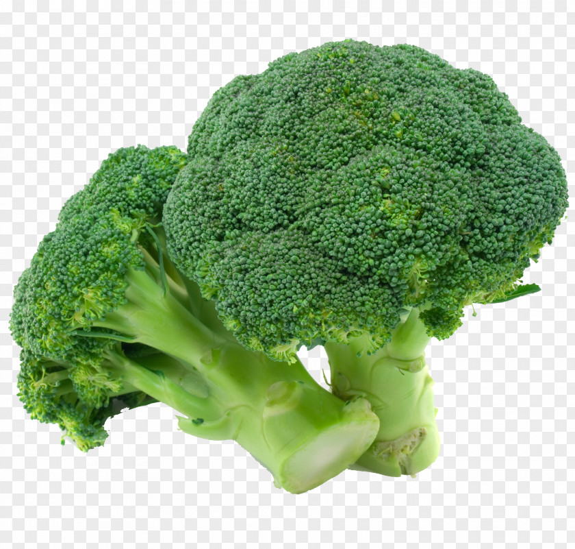 Green Broccoli Picture Material Nutrient Eating Flower Nutrition Fruit PNG