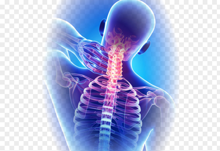 Neck Pain Chiropractic Therapy Medicine PNG