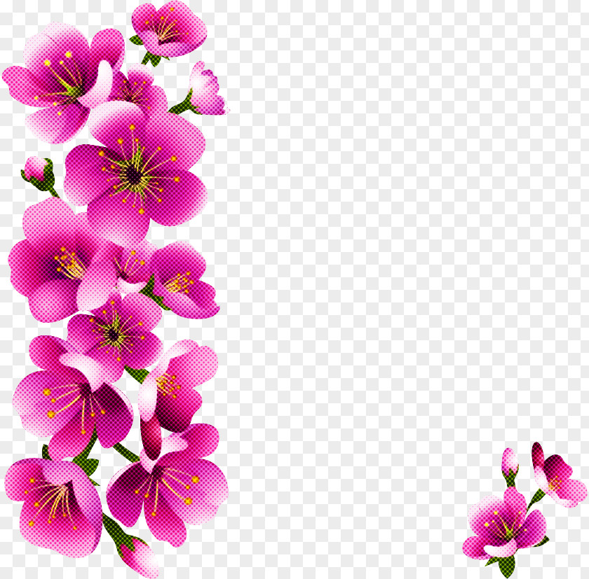 Petal Flower Pink Plant Blossom PNG
