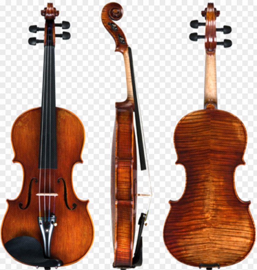 Violin Amati Stradivarius Musical Instruments String PNG