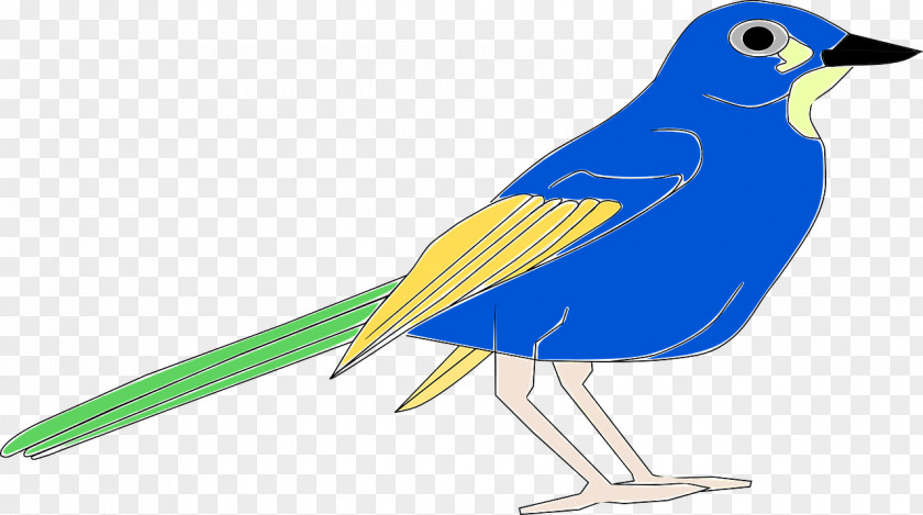 Bird Beak Blue Clip Art PNG