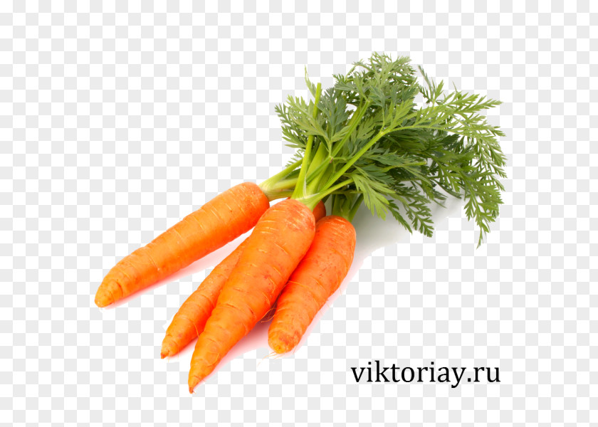 Carrot Baby Vegetable Juice Food PNG