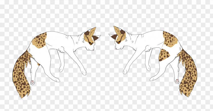 Cat Big Mammal Dog Canidae PNG