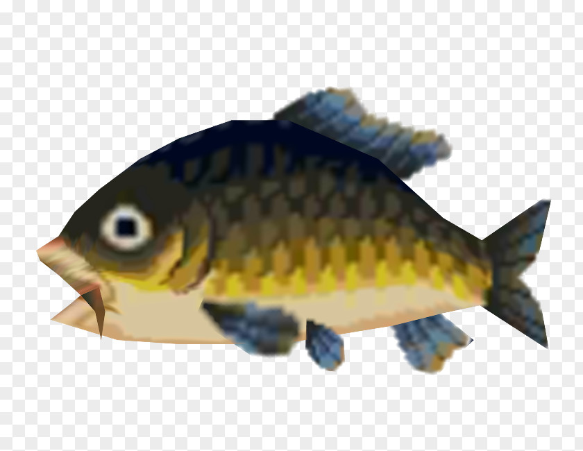 Fish Common Carp Animal Crossing: New Leaf Wild World PNG