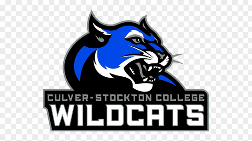 Illinois Wesleyan Titans Football Culver–Stockton College Wildcats Men's Basketball Culver-Stockton Women's MacMurray PNG