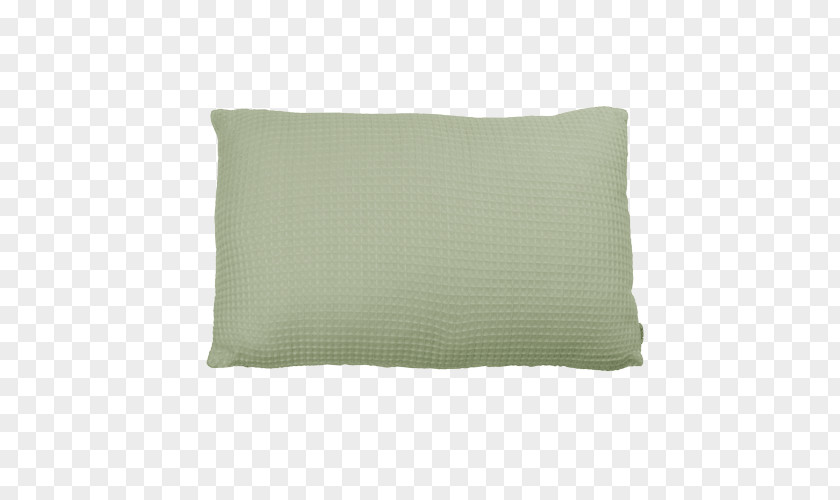 Mint Green Throw Pillows Cushion Rectangle PNG