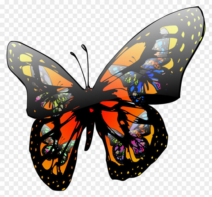 Butterfly Effect Clip Art PNG