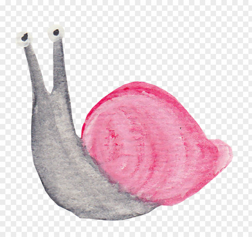 Hand Made Snail Deduction Designer PNG