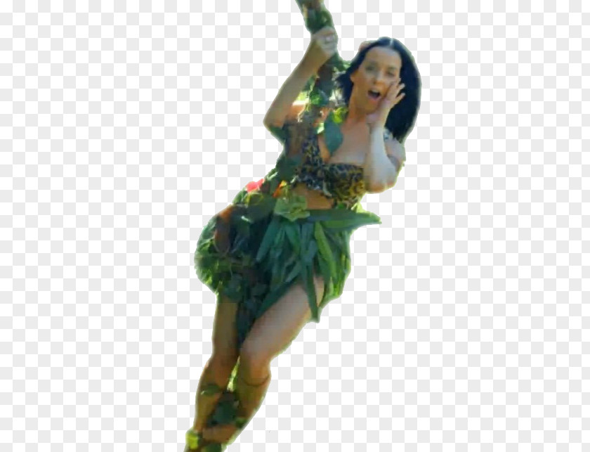 Katy Perry Roar American Idol PNG