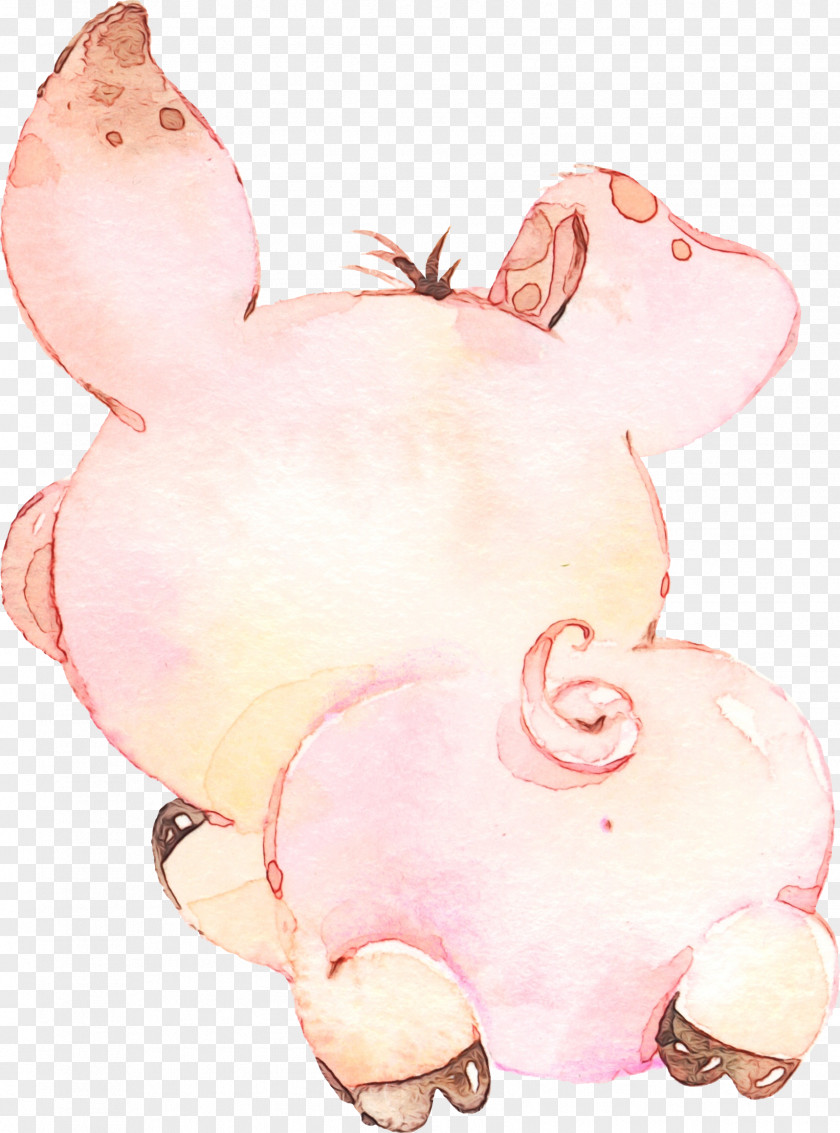 Pink Nose Cartoon Snout Livestock PNG