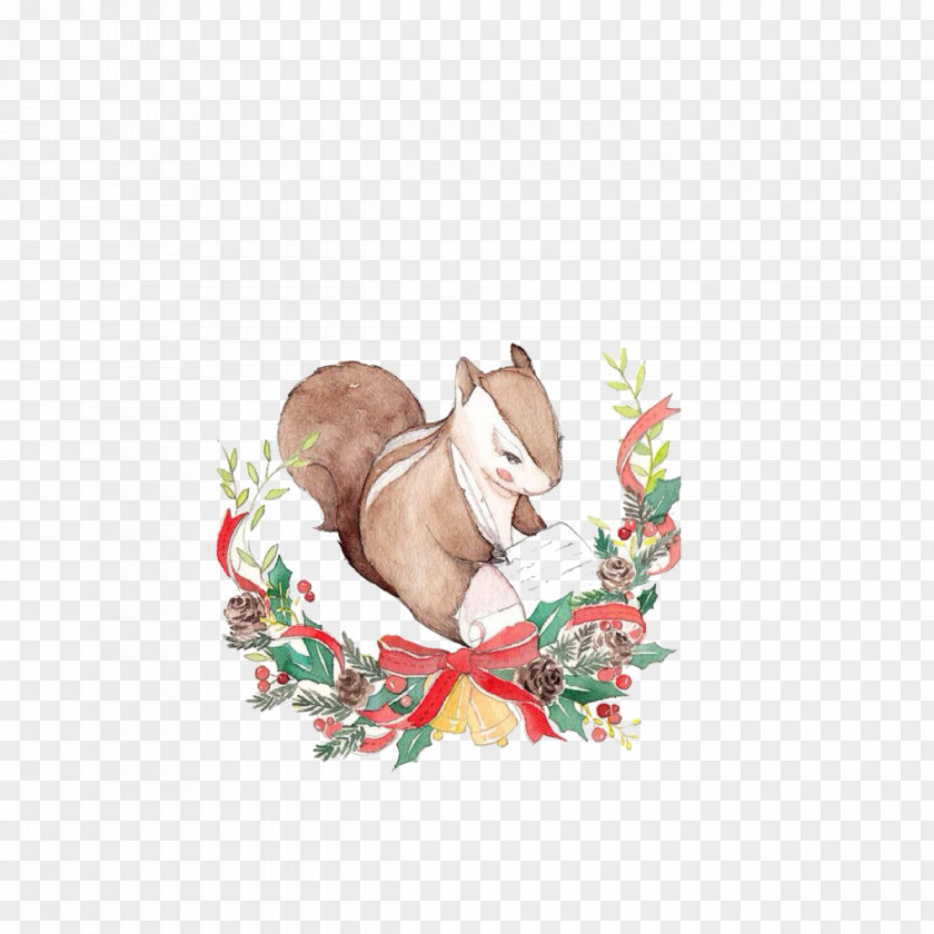 Squirrel Cat Christmas Illustrator Illustration PNG