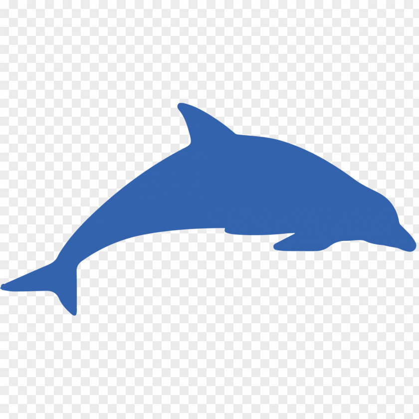 Dolphin Cetacea Whale PNG