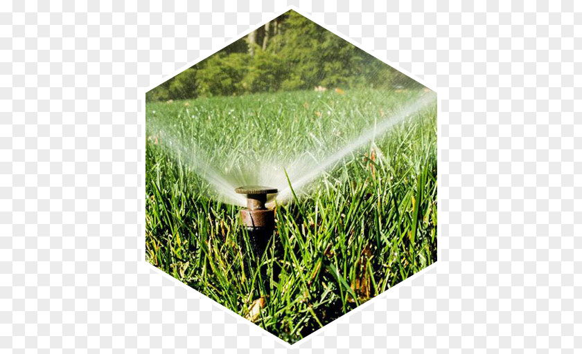 Irrigation Sprinkler Crop Lawn Grasses PNG