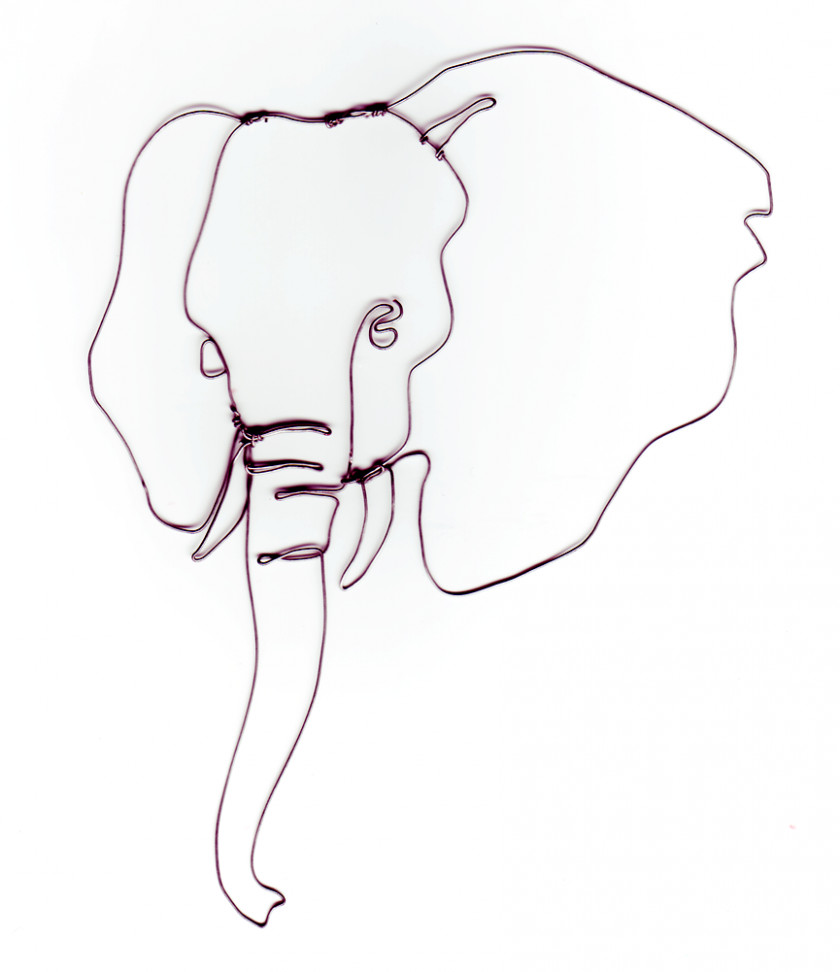 Outline Of Elephant Face Indian African Drawing Clip Art PNG
