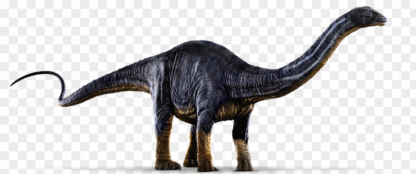 Pentaceratops Apatosaurus Brachiosaurus Diplodocus Tyrannosaurus Jurassic Park: The Game PNG