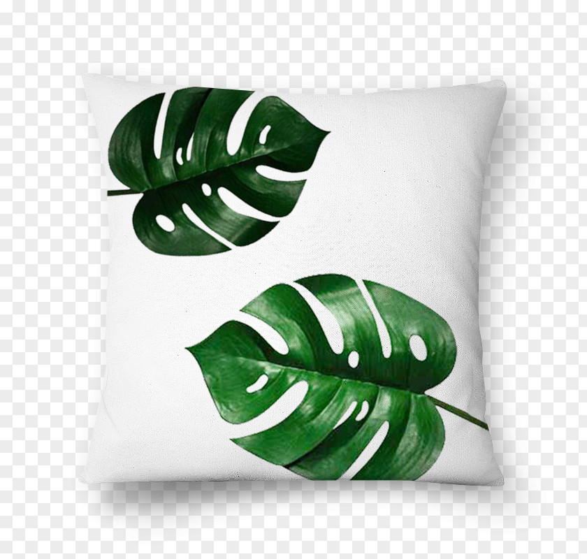 Covering Swiss Cheese Plant Leaflet Tree Philodendron PNG