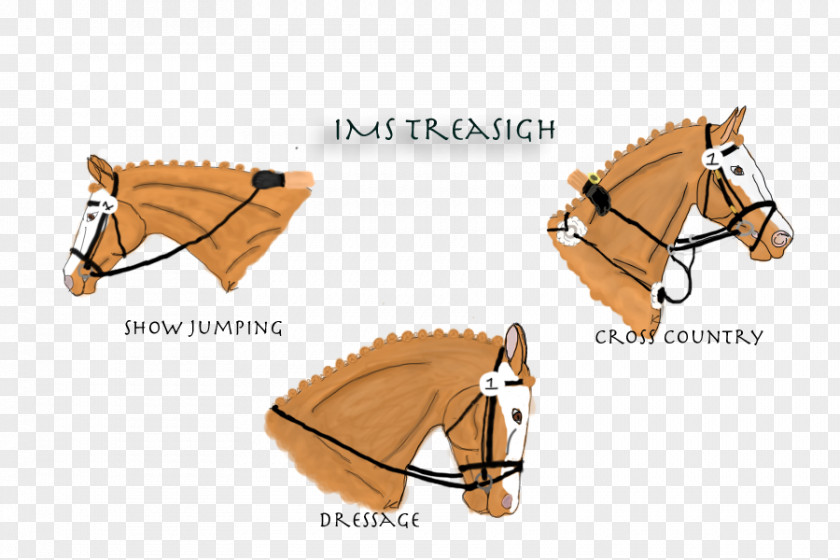 Horse Bridle Harnesses Rein Halter PNG