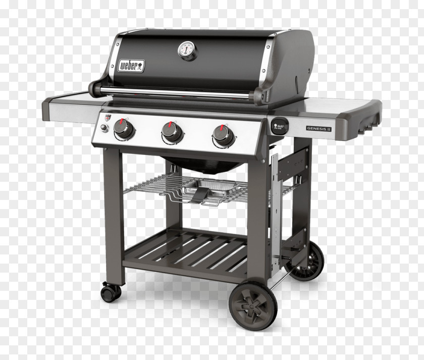 Meat Grills Barbecue Weber-Stephen Products Natural Gas Propane Burner PNG