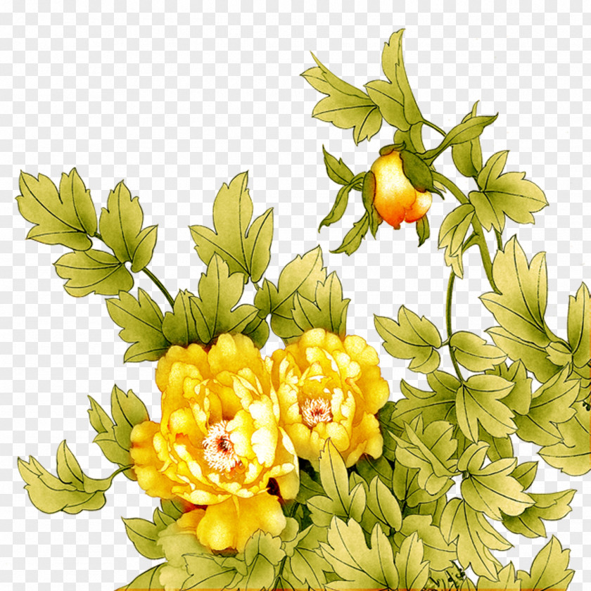 Peony Floral Design Cut Flowers Flower Bouquet Chrysanthemum PNG