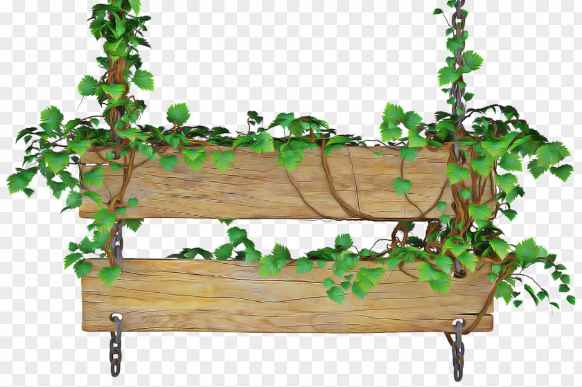 Vine Plant Ivy Background PNG
