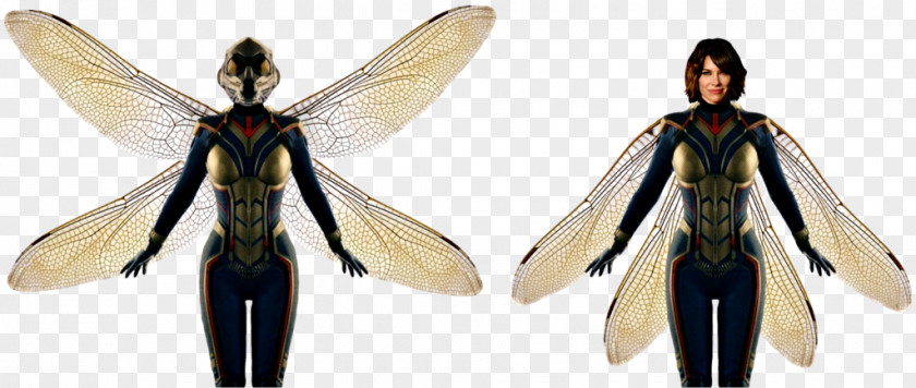 Wasp Hope Pym Ant-Man Hank Cassandra Lang PNG