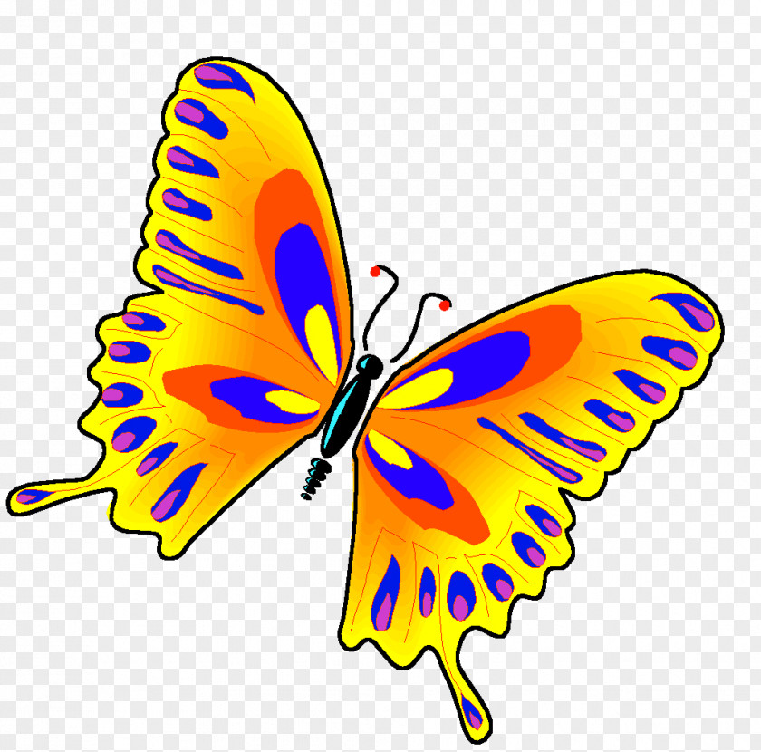 Animation Butterfly Clip Art PNG