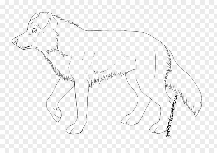 Border Collie Line Art Dog Breed Rough Stock Photography PNG