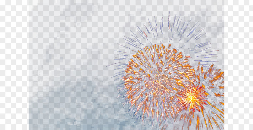 Festival Fireworks Traditional Chinese Holidays Firecracker PNG